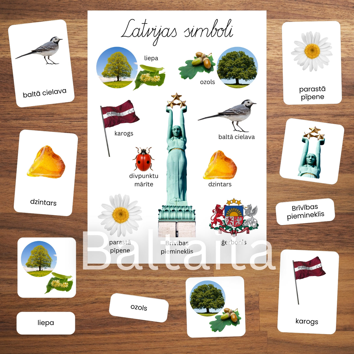 Latvijas simboli - plakāts un kartītes mācību materiāli par Latviju rādāmās kartītes par Latviju simboli baltaita