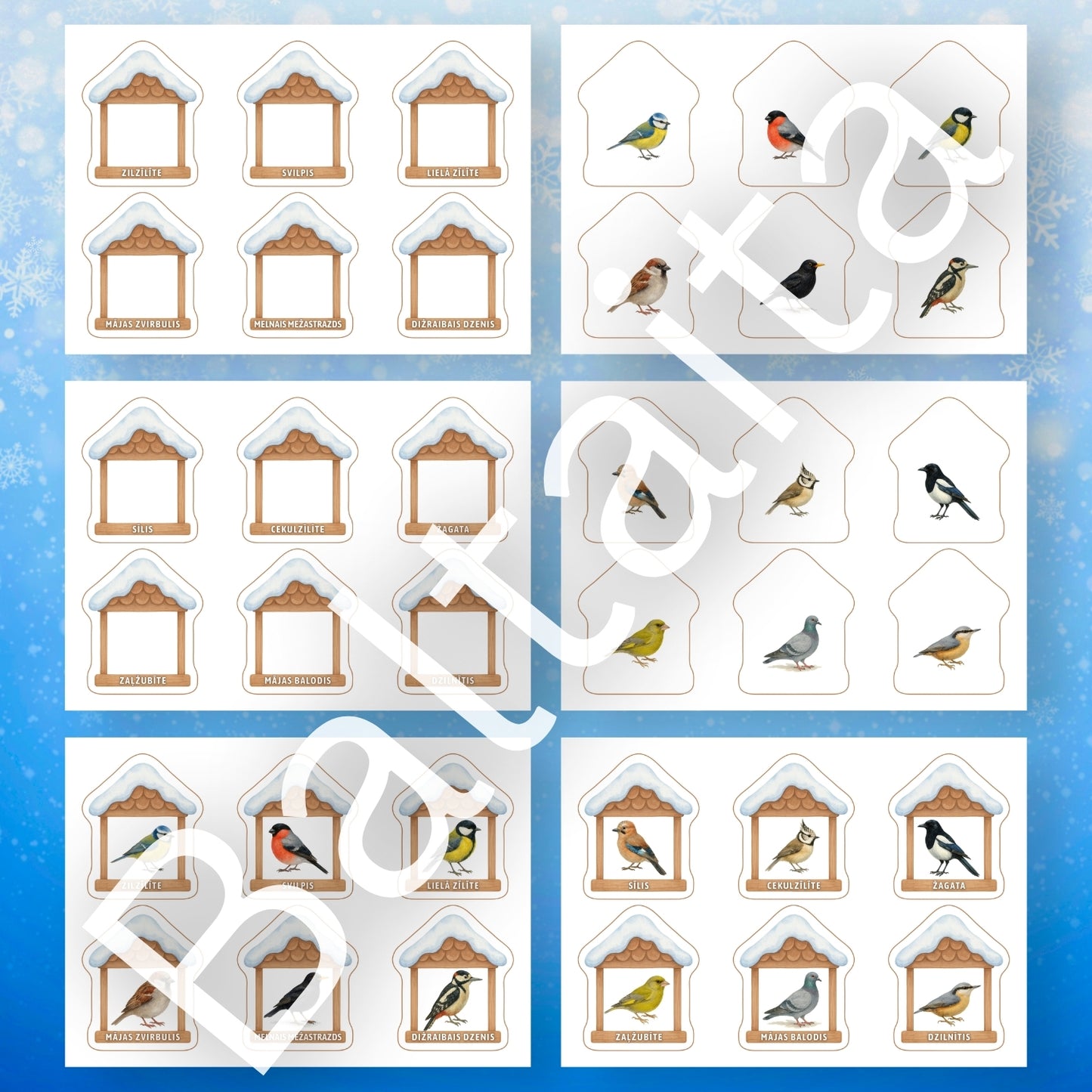 Mācību materiāli par putniem ziemā Baltaita spēle