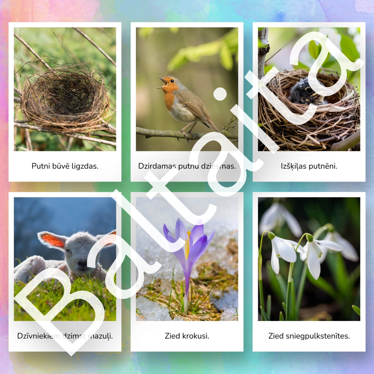 Pavasara vēstneši - kartītes lasīšanai baltaita mācību materiāli krāsaini attēli par pavasari baltaita