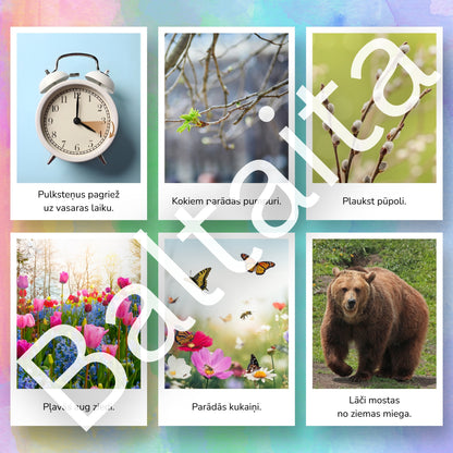 Pavasara vēstneši - kartītes lasīšanai mācību materiāls par pavasari baltaita