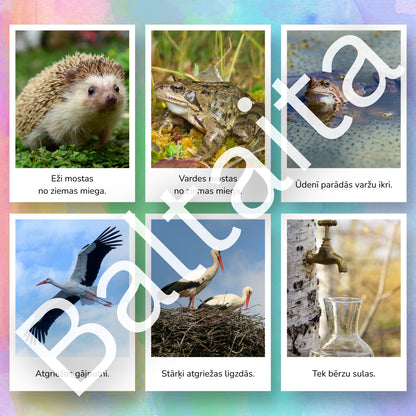 Pavasara vēstneši - kartītes lasīšanai no baltaita pavasaris uzdevumi lasīšanai