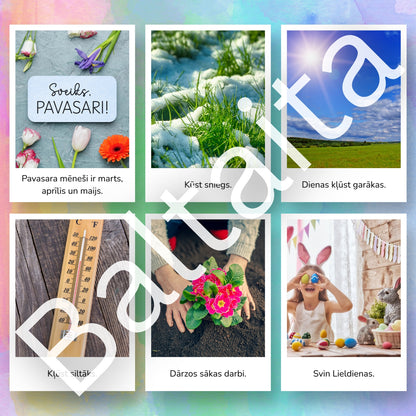 Pavasara vēstneši - kartītes lasīšanai par pavasara parādībām baltaita