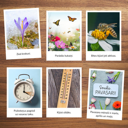 Pavasara vēstneši - kartītes lasīšanai par pavasari Baltaita