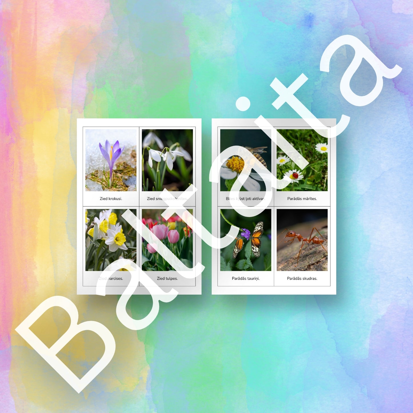 Pavasara vēstneši - kartītes lasīšanai sākumskolai lasīšana viegli uzdevumi par pavasari