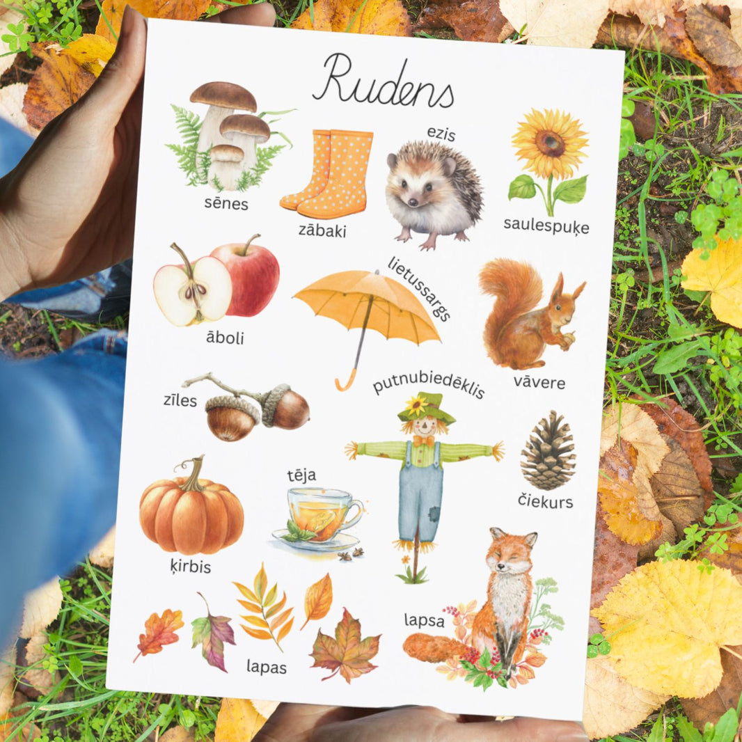 Rudens – Baltaita