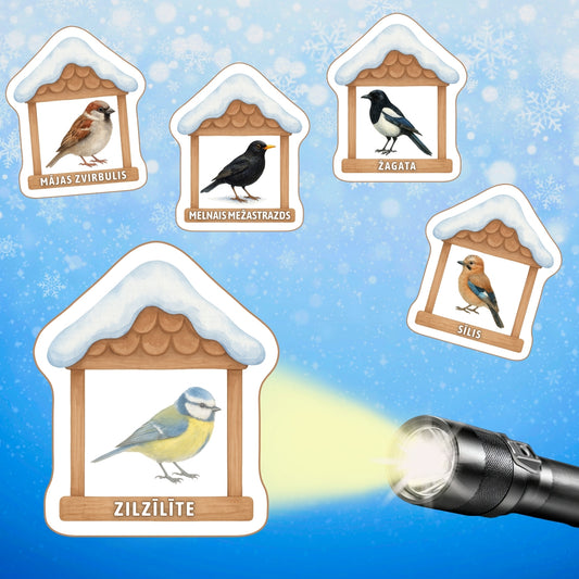 Putni pie barotavas – spēle ar lukturīti Baltaita mācību materiāli