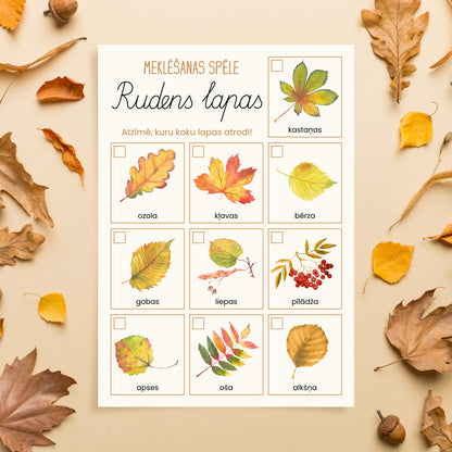 Rudens lapas - meklēšanas spēle baltaita mācību materiāli