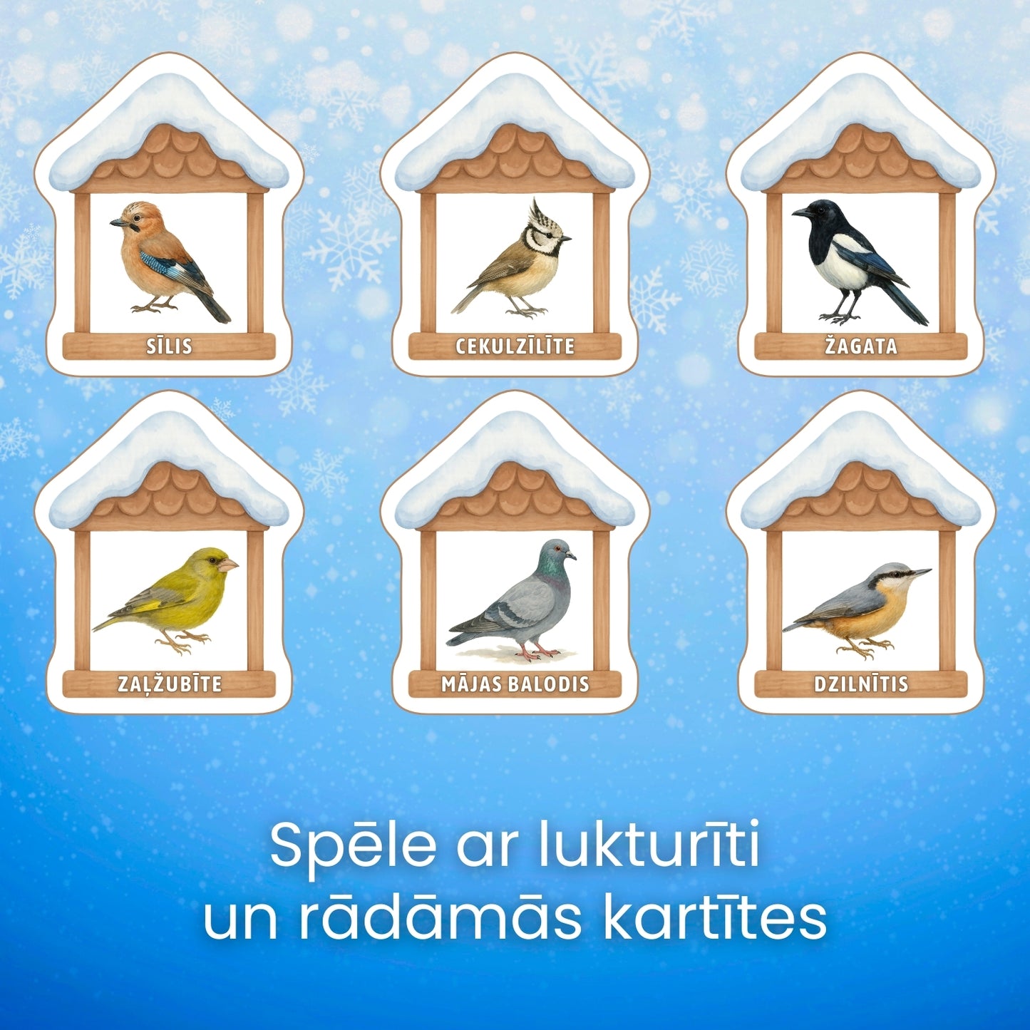 Spēle ar lukturīti ziemai putni putnu barotavās baltaita