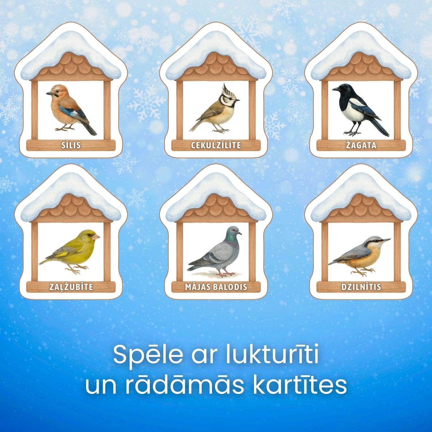 Spēle ar lukturīti ziemai putni putnu barotavās baltaita